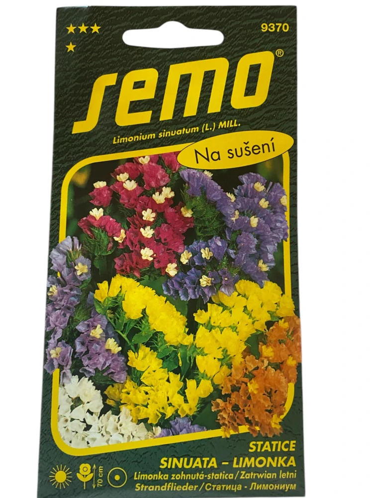 Limonka Statice sinuata - směs 0,5g
