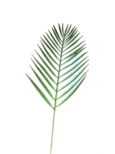 Umělý list PALMA