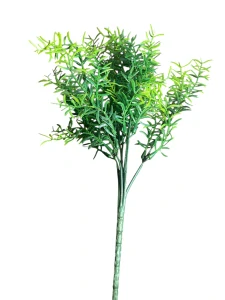 Umělý Asparagus