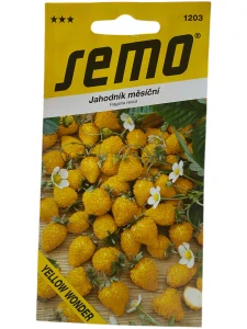 Jahodník měsíční - Yellow Wonder 0,1g