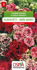 Hvozdík bradatý pln směs_0,5 g